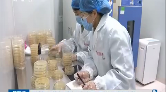 包頭東寶生物----科技興蒙行動打造高質量發(fā)展新引擎